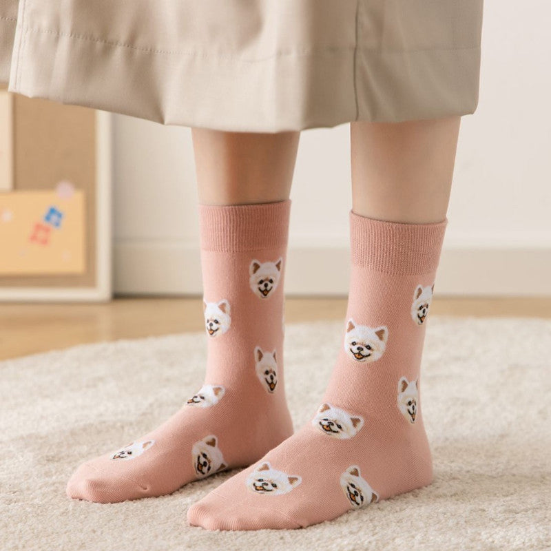 Cute Pet Socks - Combo of 4
