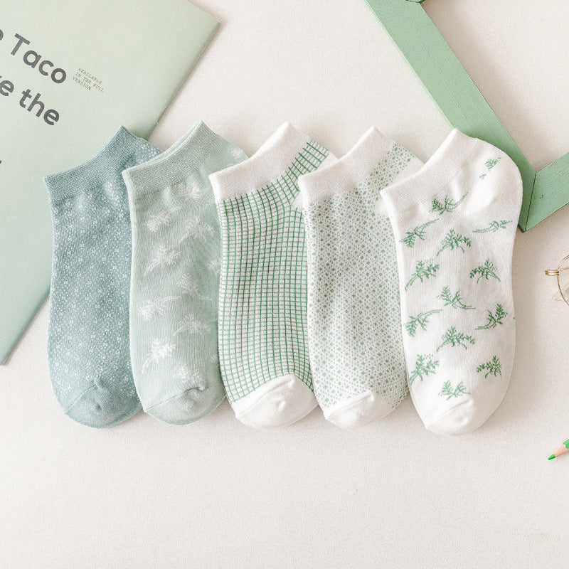 Minty White Socks - Combo of 5